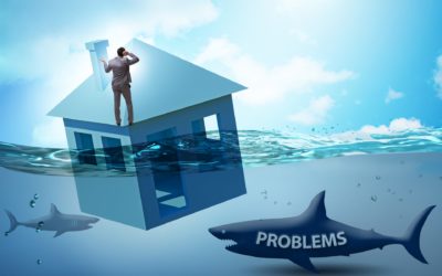 Why diversification is key to your success